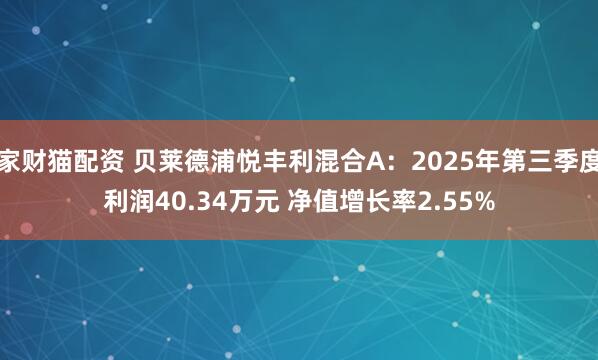 家财猫配资 贝莱德浦悦丰利混合A：2025年第三季度利润40.34万元 净值增长率2.55%