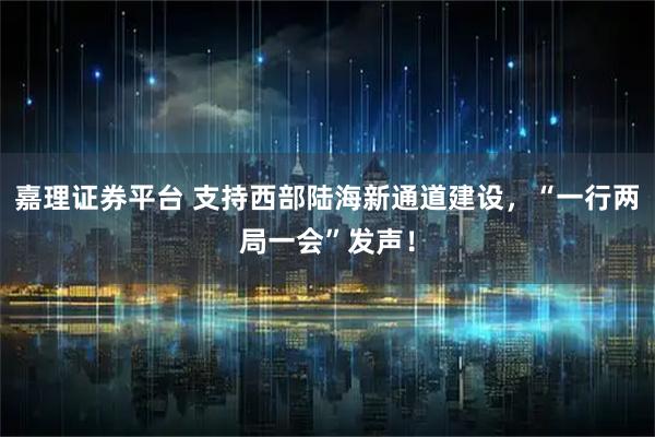 嘉理证券平台 支持西部陆海新通道建设，“一行两局一会”发声！