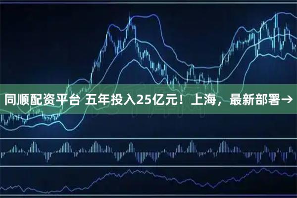 同顺配资平台 五年投入25亿元！上海，最新部署→
