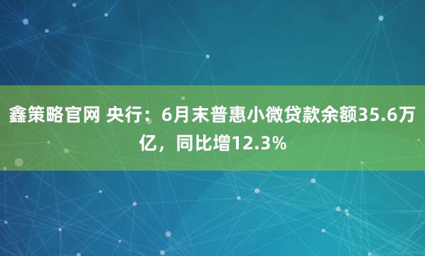 鑫策略官网 央行：6月末普惠小微贷款余额35.6万亿，同比增12.3%